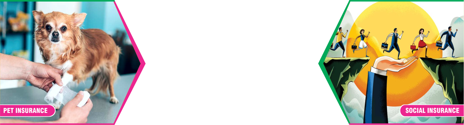 Slide Six